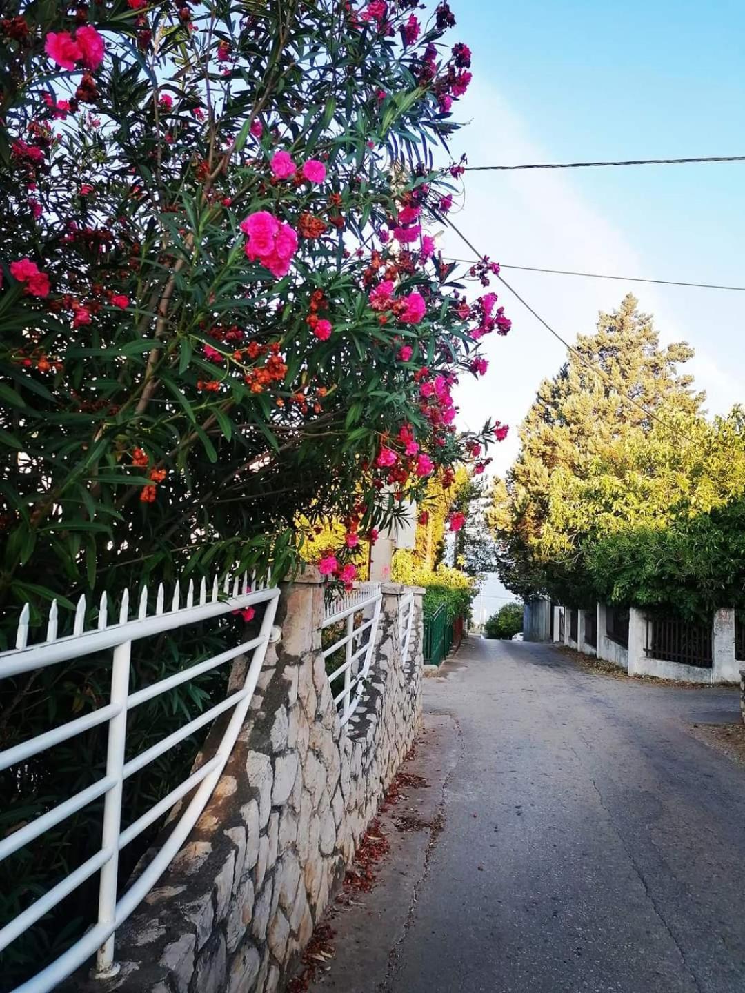 Apartmani Ljubica Utjeha Bagian luar foto